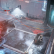 A screenshot from Neon Giant's The Ascent